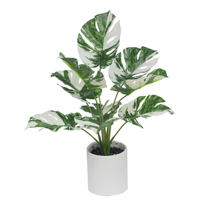 MINI plantes de TABLE pour la décoration, nouveau STYLE - Product Image 4