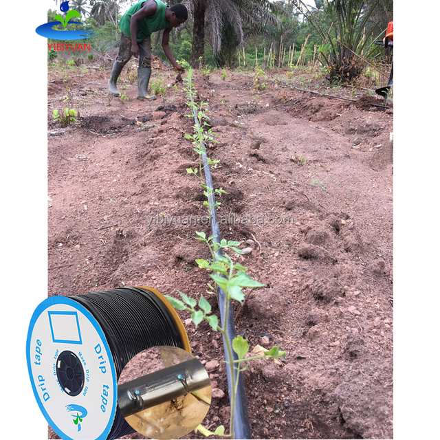 Chilli Agriculture Drip Irrigation System Kit 5000sqm 16mm Ldpe Drip Irrigation Pipe 500m Drip Line