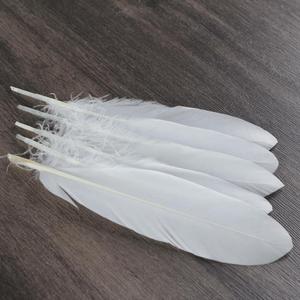 Một lớp chất lượng tốt nhất cầu lông vịt lông ngỗng cho Indonesia Việt Nam - Product Image 5