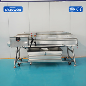 Set Completo di Linee per la Lavorazione di Frutta e Verdura, Adatte per la Produzione su Larga Scala in Stabilimenti Alimentari - Product Image 4