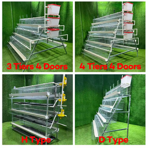 Cage à batterie pour poules pondeuses, conception RTL, poulailler d'élevage pour poules pondeuses, équipement d'élevage pour ferme avicole - Product Image 3