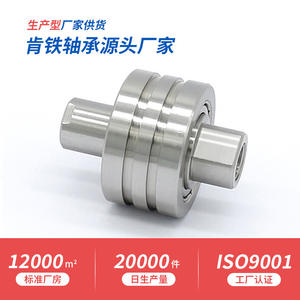 Boîtier de roulement en acier inoxydable SUS304 non standard à double rangée S6901Z, avec roulement à billes à double gorge, anneau extérieur - Product Image 2