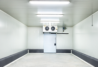 Hoge Efficiëntie Aangepaste Dimensie Vriezer Kamer 40 Ft 20ft Koude Kamer Voor Groenten Of Fruit