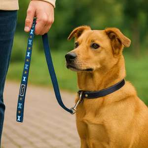 Yommy Durable Nylon Pet Leash With Bone Design 360 Degree Metal <b>Carabiner</b> - Product Image 5