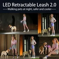 Lampe LED d'extérieur moderne de luxe à technologie de pointe, portée 5M, avec poignée télescopique automatique antidérapante, chargement USB et capuchon anti-poussière, idéale pour la marche nocturne