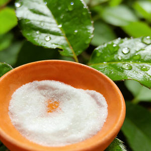 Elimina la Grasa y Elimina el 99.9% de las Bacterias. Solo enjuague para platos relucientes. - Product Image 2