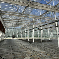 Nouvelle serre en verre de Venlo pour la plantation de fraises bleues et la culture de semences