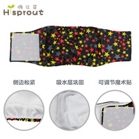 Vêtements pour animaux de compagnie : Culottes absorbantes pour chiens mâles, Ceintures d'étiquette pour chiens, Tapis de propreté pour chiens en polyester toutes saisons
