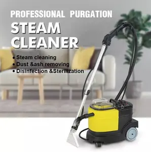 Gaoge Factory Wholesale LP-3 Electric Home Use 110V/220V Hot /Cold Water Steam Cleaner Equip Sofa Curtain Clean Machine