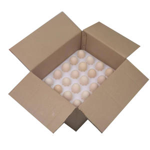 Самый популярный вспененный лист для продажи, защитная амортизация лотков для упаковки яиц - Product Image 4