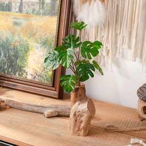 Plante miniature CallaFloral Monstera dans un vase en bois pour décorations de mariage et verdure intérieure - Product Image 1