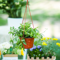 Kit de jardinière suspendue, décoration extérieure économique pour jardin, maison, hôtels, pot de fleurs en PP pour pépinière