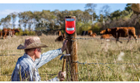 Répulsif Animal Étanche et Efficace pour la Sécurité Domestique, Allées et Exploitations Agricoles – Stroboscope Large Portée en Gros