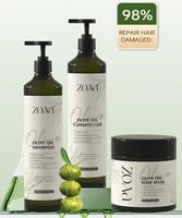 DIWEI Fournisseur en Gros OEM Professionnel Shampoing et Après-Shampoing pour Salon de Coiffure Crème Hydratante à l'Huile d'Olive à Base de Plantes Très Vendue