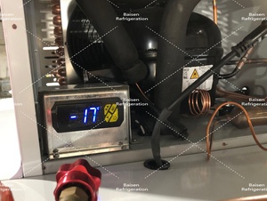 Congélateur de stockage de glace en sacs en libre-service pour usage commercial en extérieur, utilisation en station-service, distributeurs de glace en sacs, refroidisseur - Product Image 5