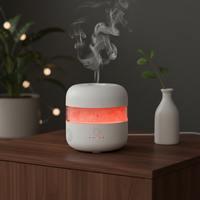 Diffuseur d'air à lampe de sel de l'Himalaya, brume froide, diffuseur d'arômes ultrasonique avec haut-parleur musical, fabrication