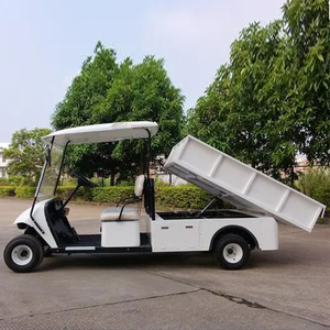 Carrito de Golf Estable para Uso Doméstico con 6 Asientos, Carrito de Golf a Gasolina con Capacidad para 6 Personas - Product Image 3