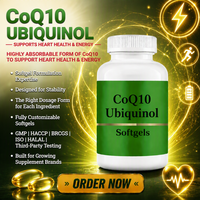 Gélules de CoQ10 Ubiquinol Personnalisées, Fabricant OEM, PQQ, Shilajit, BioPerine, Haute Absorption, Marque Privée