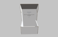 Boîte cadeau en carton avec logo personnalisé, emballage pour envoi postal, fermeture magnétique