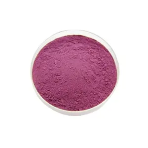 Grape fruit powder Water-soluble Grape extract fruit and vegetable Solid drink organic grape flavor powder