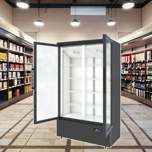 Vetrina Freezer Verticale <span class=keywords><strong>a</strong></span> 2 Porte con <span class=keywords><strong>Porta</strong></span> in Vetro, Acciaio Inossidabile, Refrigerazione <span class=keywords><strong>a</strong></span> Raffreddamento Diretto - Product Image 5