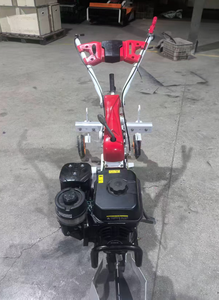 Récolteuse <span class=keywords><strong>d</strong></span>'ail portative à essence 6HP, cueilleuse <span class=keywords><strong>d</strong></span>'ail autoportée à haute efficacité et économie de main-<span class=keywords><strong>d</strong></span>'œuvre pour usage agricole en petite exploitation - Product Image 4