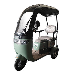 Urban Transportation's Low-Cost Vehicles for Passengers Leisure Carbon Steel Frame 3-Speed Gears Lead-Acid Battery - Product Image 3