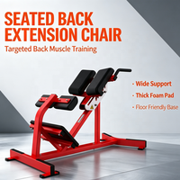 Peralatan Fitness Bodybuilding Berkualitas Tinggi Ekspor Langsung Pabrik, Bench Back Extension Komersial & Rumah Tangga dengan Garansi