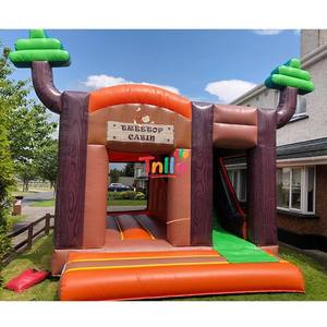 Château gonflable avec toboggan aquatique, robot gonflable avec double piste à vendre - Product Image 3