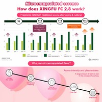 Fabrieksgroothandel XINGFU Ecologisch Verantwoorde Hoge Kwaliteit 1000G Textielverzachterparels met Gemengde Fruitgeur