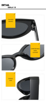 Lunettes de soleil œil de chat tendance et abordables pour femmes et hommes – Vente en gros de modèles classiques populaires en plastique