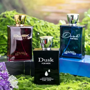Twilight Men's Perfume Fragancia de madera Perfume ligero fresco de larga duración Caja de regalo de 100ML al por mayor