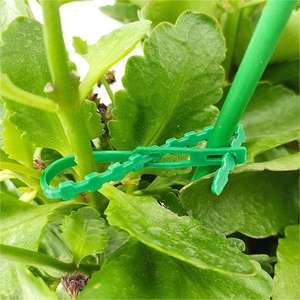 Câbles de <span class=keywords><strong>fixation</strong></span> pour plantes de jardin, attaches pour légumes de serre, boucle pour vigne, fournitures de jardin essentielles - Product Image 5