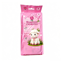 Lingettes humides miniatures jetables, haute teneur en liquide, sans irritation ni allergènes, sûres pour une utilisation familiale en extérieur