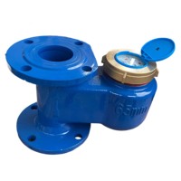 Cast Iron DN65 Flange Type Meter for Municipal
