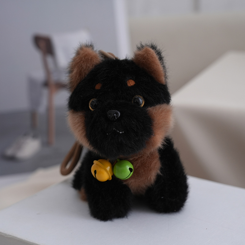 Shiba Inu