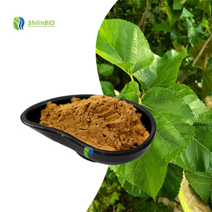 SLBIO Poudre d'extrait de feuille de mûrier de haute qualité, 10% de flavonoïdes - Product Image 1