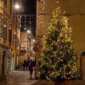 Green Wire <strong>LED</strong> <strong>Christmas</strong> <strong>Lights</strong> Copper Wire Rattan Garland with Stars IP44 Plastic <strong>String</strong> Decorations for <strong>Tree</strong> and Plants - Product Image 2