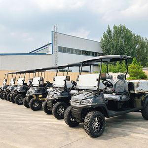 Voitures de golf électriques en gros pour le transport routier et les visites en club - Product Image 6