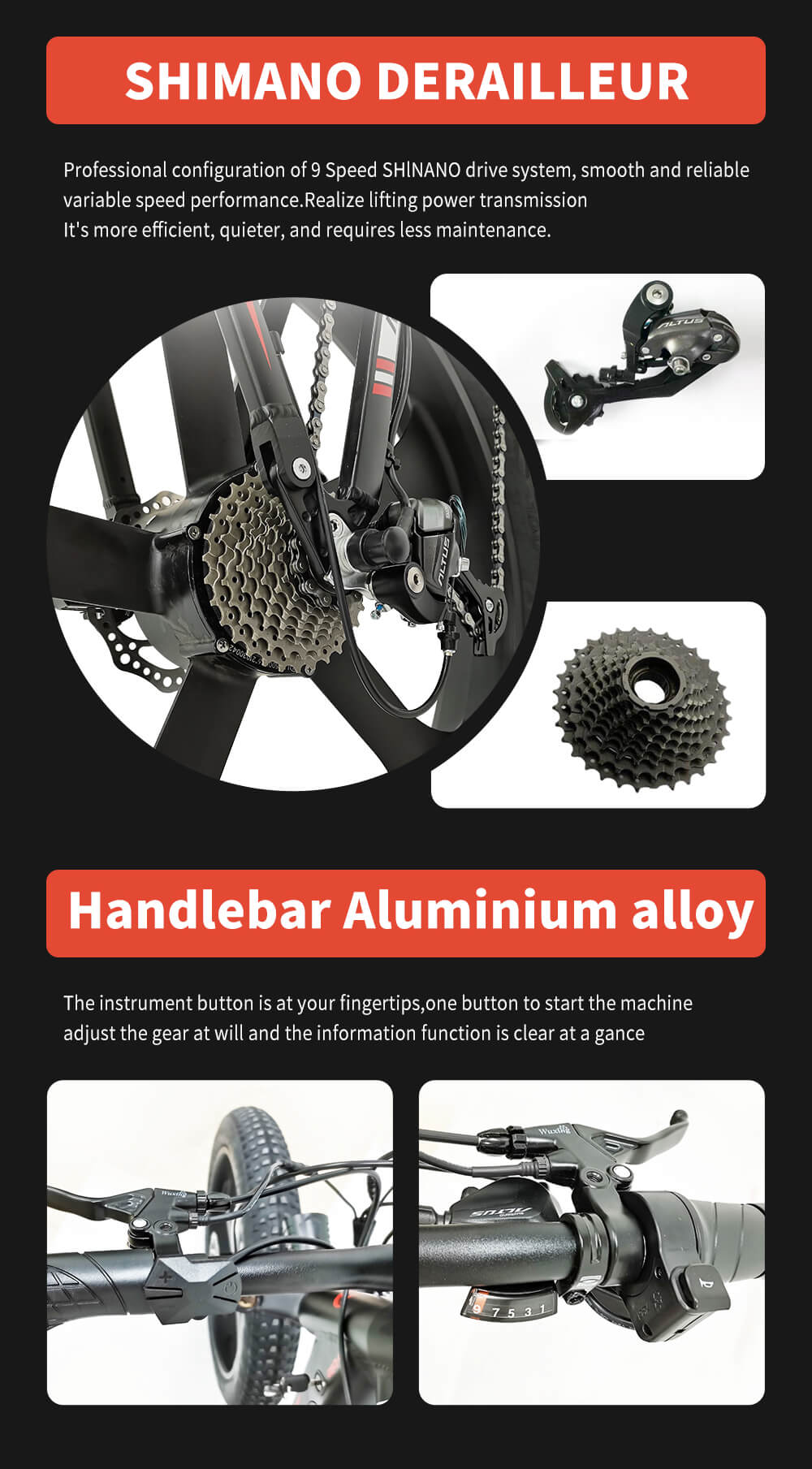 Electric bike 1000W Dailyride LEO Magnesium rims