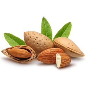 Olio di Mandorle Vergine Biologico per Uso Cosmetico e Alimentare 25lt - Product Image 4