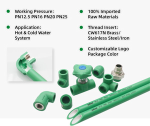 Trung Quốc Nhà Máy Giá 20Mm PPR Brass Bóng Van Đôi Công Đoàn Cung Cấp Nước Cổng Giả Mạo 20-63Mm PPR Phụ Kiện Đường Ống Của Nhãn Hiệu Dừng OEM - Product Image 6