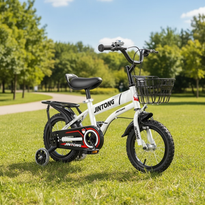 Vélo pour enfant de 12 pouces, cadre en acier carbone, frein à disque, roues d'apprentissage, panier à <span class=keywords><strong>4</strong></span> roues, pédale ordinaire, 3-12 <span class=keywords><strong>ans</strong></span> - Product Image 1