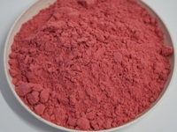 Poudre de fraise lyophilisée de haute qualité en vrac, poudre de jus de fruits rouges naturels pour smoothies, pâtisserie, colorant alimentaire