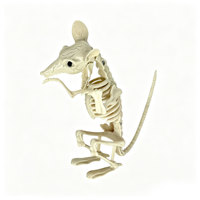 Squelette de Rat Articulé en Plastique – Ornement Effrayant en Forme d'Os de Rongeur pour Décoration d'Halloween, de Jardin, de Cimetière ou de Patio