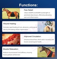 Ceinture de thérapie LED rouge et infrarouge équine 2026 pour chevaux et poneys, 660nm et 850nm, alimentée par batterie, pour le cou et le ventre