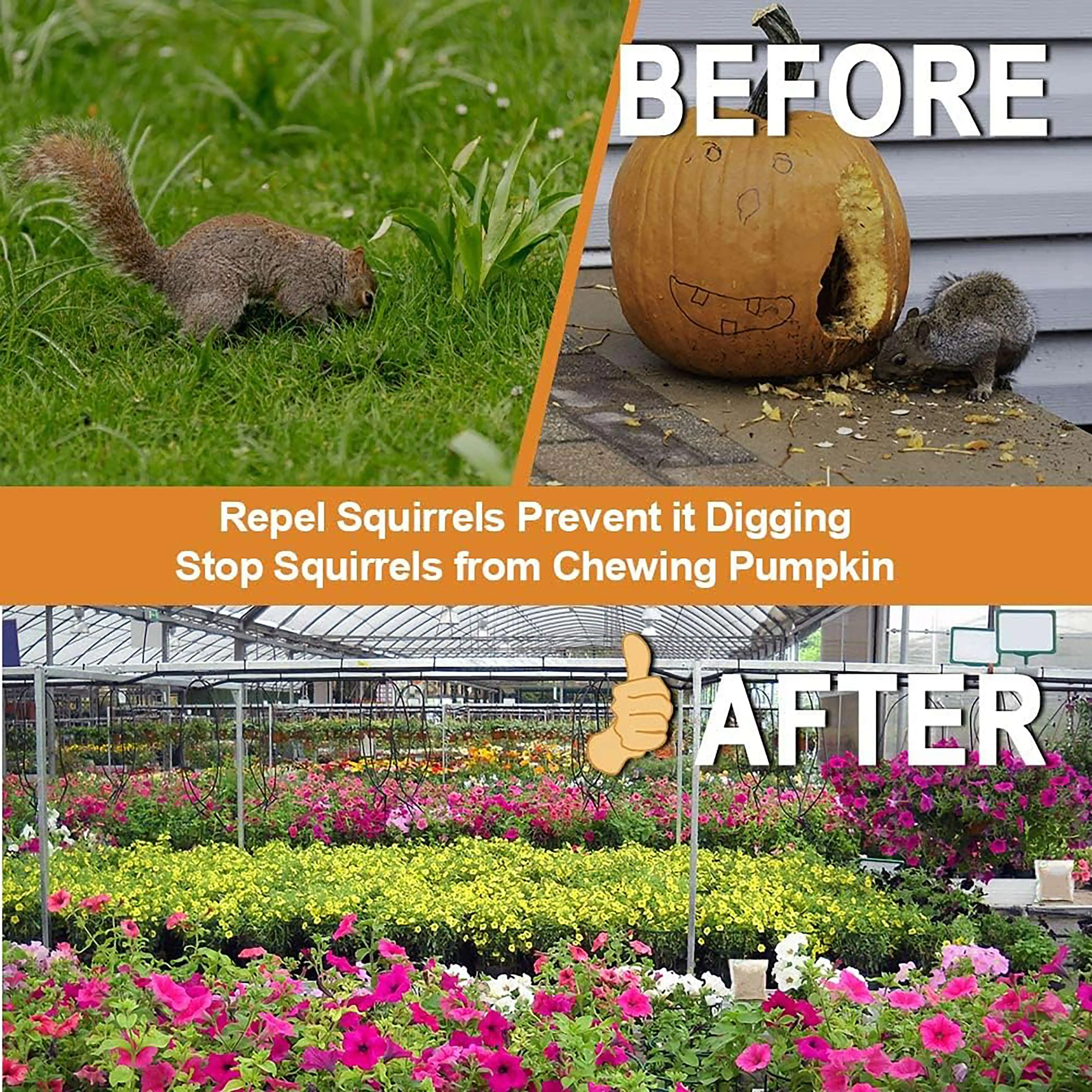 100% natürliche Pfefferminz formel Eichhörnchen Repeller Nagetier Repellent Away Outdoor Gartens chutz