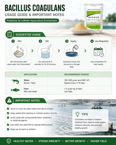 Suministro del Fabricante: Esporas de Bacillus Coagulans Termoestables 10B CFU/g, Aditivo Probiótico para Alimentos, Potenciador de Crecimiento Resistente <span class=keywords><strong>a</strong></span> la Peletización - Product Image 5