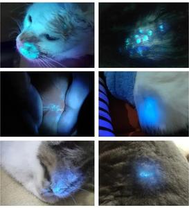 Lámpara de Wood para Análisis de Piel, Instrumento Veterinario a Precio de Fábrica, Analizador de Piel para Dermatología, para Análisis Facial - Product Image 2