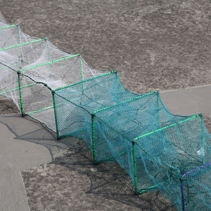 Boîte <span class=keywords><strong>de</strong></span> Culture <span class=keywords><strong>de</strong></span> boue pliable, bac à poissons avec cadre en fil d'acier, pièges à poissons, pour la vente, bon marché - Product Image 6